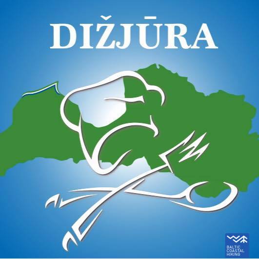 dizjura1