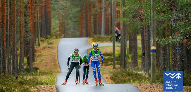 joulumae-tervisespordikeskuse-liikumisrajad-baltic-trails.jpeg