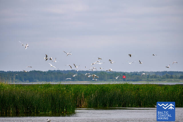 6 Liepajas ezers