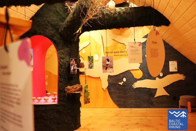 10 Dzintarveji