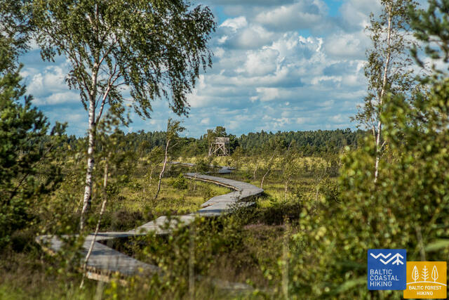 14 Aukstumalas purvs