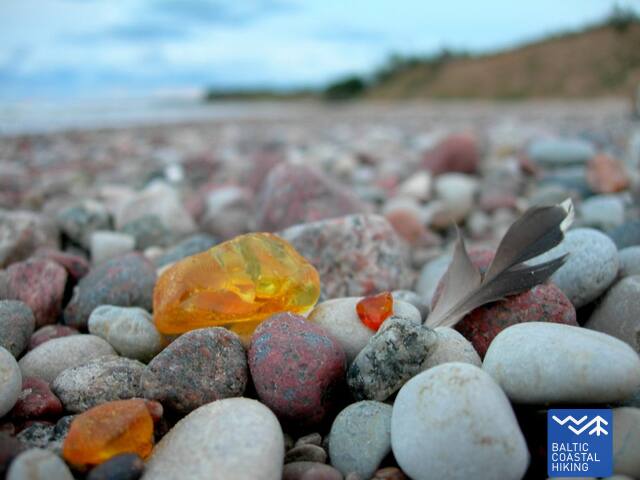 7 posms Jūrkalne Sārnate