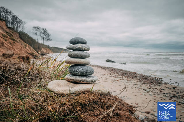 8 posms sārnate užava nenopirkta dambrans