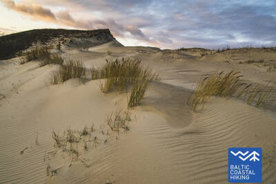 DeaddunesPhotobyRenataKilinskaite