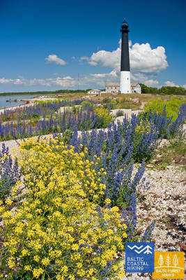 Sõrvetuletorn TõnuLing