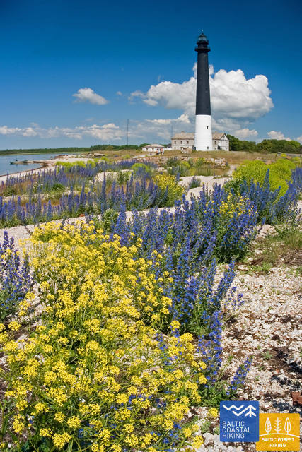 Sõrvetuletorn TõnuLing