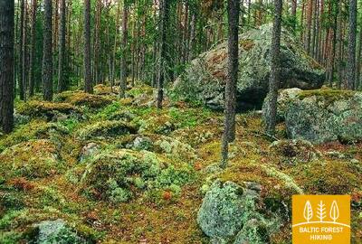 Kasmusfieldofboulders Source Käsmu