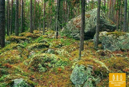 Kasmusfieldofboulders Source Käsmu