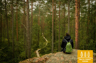 Meztaka Loksa Tsitre 2604