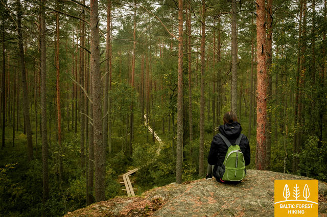 Meztaka Loksa Tsitre 2604