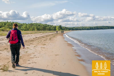 Meztaka Tsitre Kaberneeme 2714