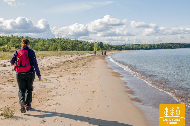 Meztaka Tsitre Kaberneeme 2714