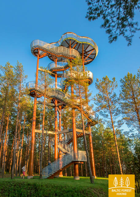 Merkinės apžvalgos bokštas LCTA