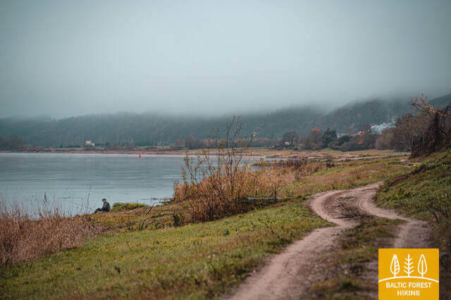 2 Link Padubysio Titas Valionis