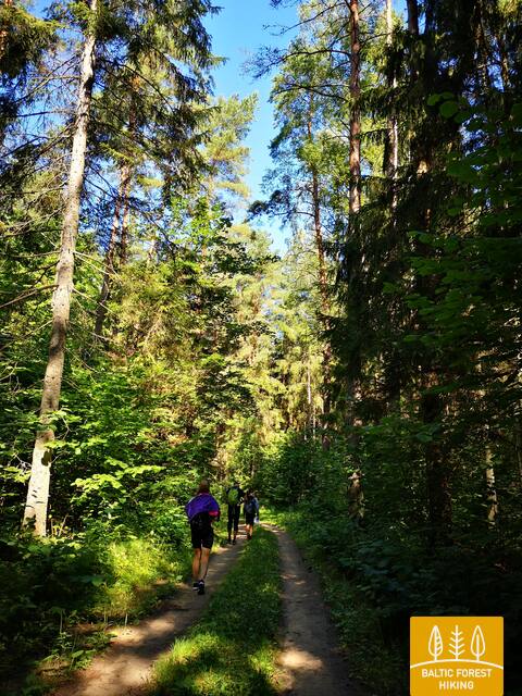 Pageluvioežerynotaku RūtaAntanavičiūtėphoto