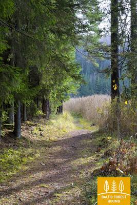 Paplatelėspažintinistakas SigitasKazlauskasph