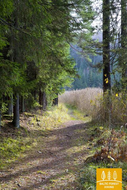 Paplatelėspažintinistakas SigitasKazlauskasph