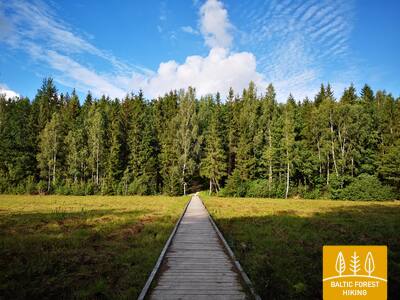 GaudupiopelkėŠeirėstake RūtaAntanavičiūtėphoto