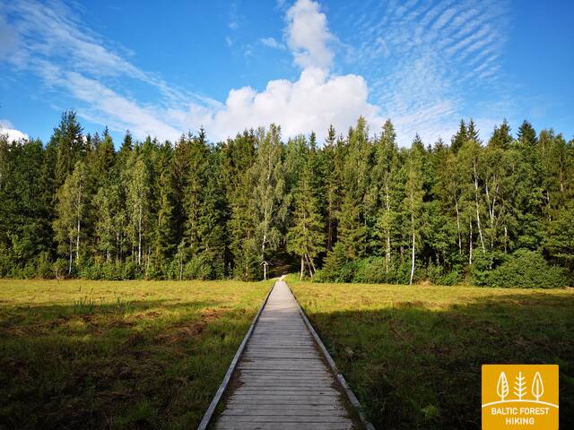 GaudupiopelkėŠeirėstake RūtaAntanavičiūtėphoto