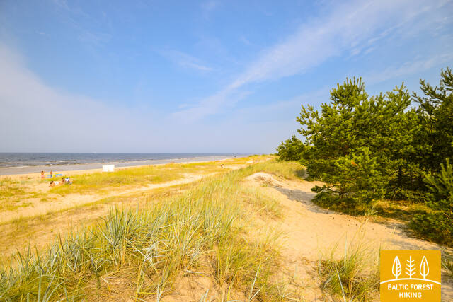 Vaivari pludmale Janis Salins