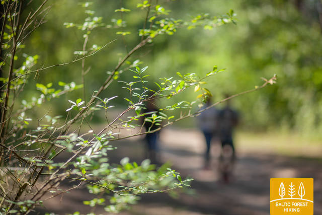 Anna RutmaneIMG 1588