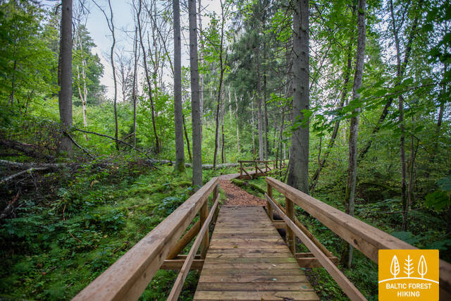 Spēkataka Anna RutmaneIMG 7418