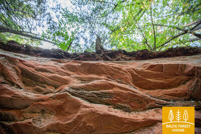 Velnalasklintis Anna RutmaneIMG 2984