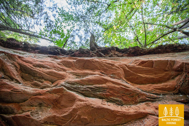 Velnalasklintis Anna RutmaneIMG 2984