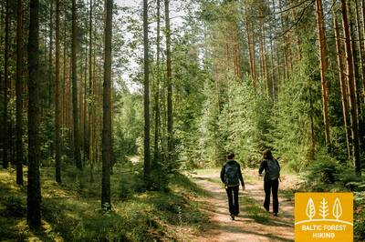 Meztaka Koksi Zaki 2154 2