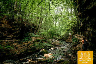 Meztaka Zaki Trapene 2390