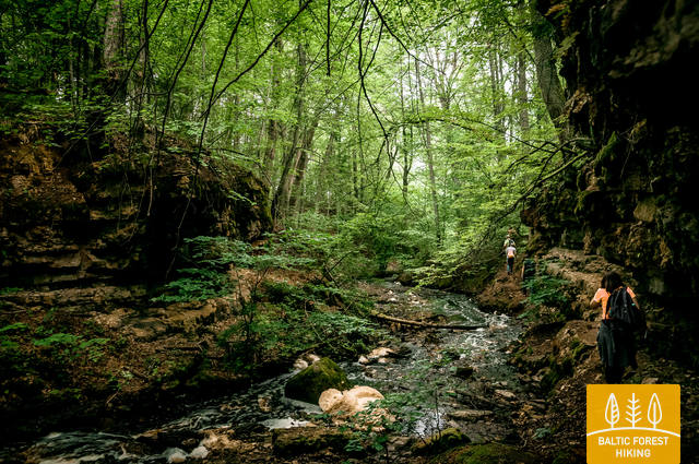 Meztaka Zaki Trapene 2390