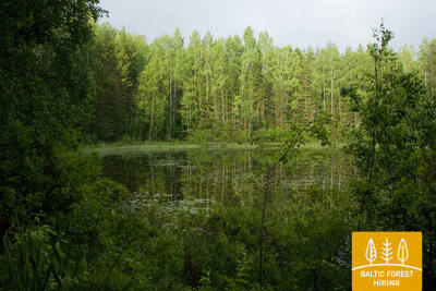 Kurtnalakedistrict1 Photo LembitMichelson