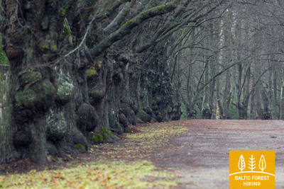 Toilapark Photo LembitMichelson