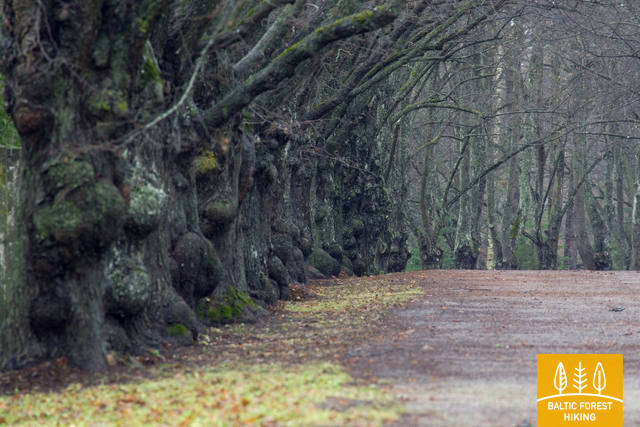 Toilapark Photo LembitMichelson