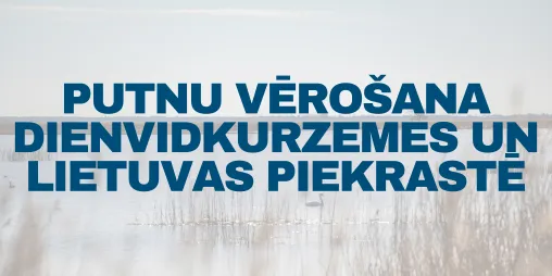 Putinute vaatamine